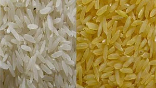 GDO'dan kaçış yok