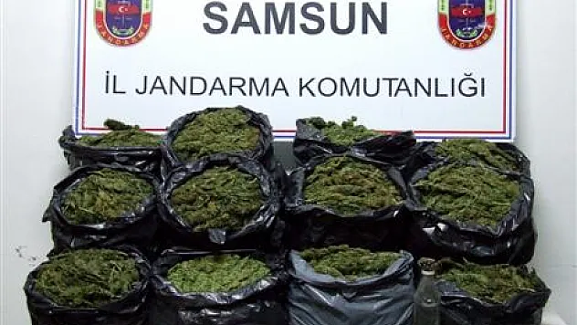 Jandarma 2010 yılında 169 kaçakçılık olayını ortaya çıkardı