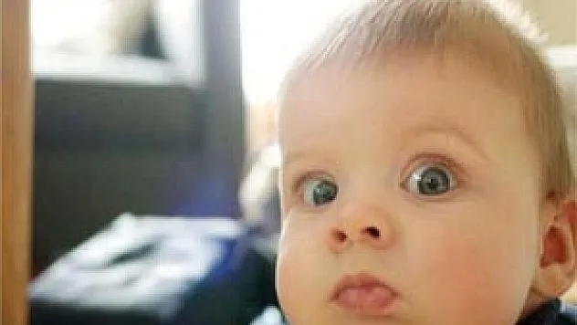 Bebek sayısında artış