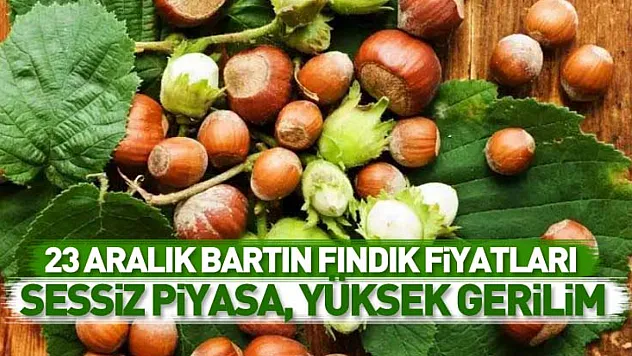 23 Aralık Bartın Fındık Fiyatları | Sessiz Piyasa, Yüksek Gerilim