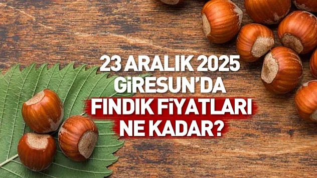 23 Aralık Giresun Fındık Fiyatları | Türkiye'nin En Değerli Fındığında Geri Adım Yok