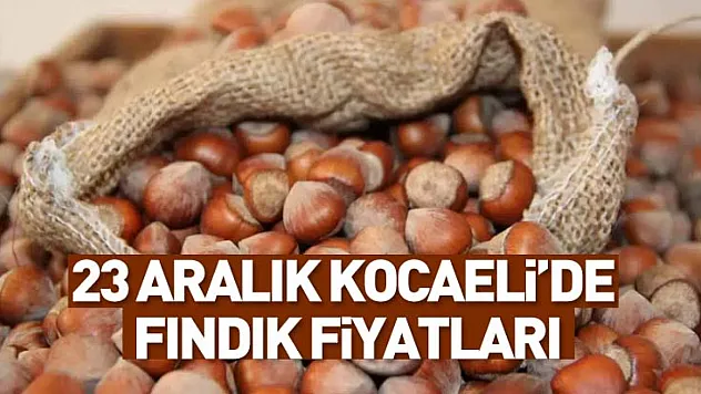 23 Aralık Kocaeli Fındık Fiyatları | Sanayi Ve Tüketim Baskısı Fiyatları Tutuyor