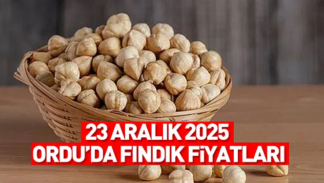 23 Aralık Ordu Fındık Fiyatları | Satış Yok, Piyasa Geriliyor Mu?