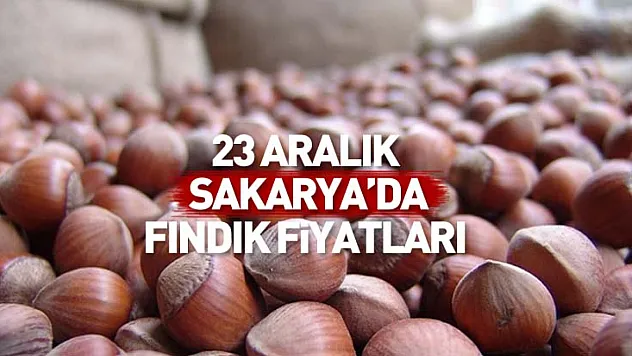23 Aralık Sakarya Fındık Fiyatları | Marmara Etkisi Piyasaya Yön Veriyor