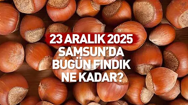 23 Aralık Samsun Fındık Fiyatları | Denge Bozulursa Hareket Sert Olur