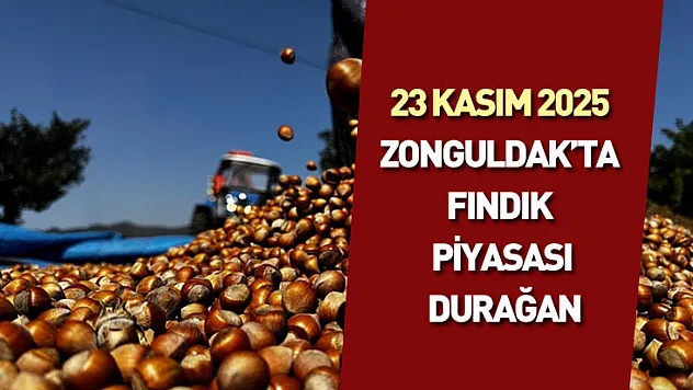 23 Kasım 2025 : Zonguldak'ta fındık piyasası durağan: Fiyatlarda dar bant korunuyor