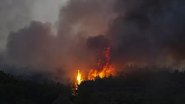 23 kişiden 4'ü tutuklandı