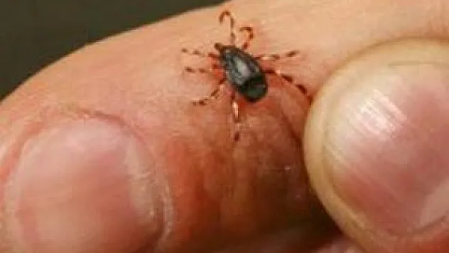  8 bin kişiye kene çıkarma aparatı dağıtıldı