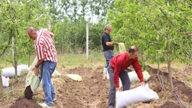  Fındık Zurufundan Gübre