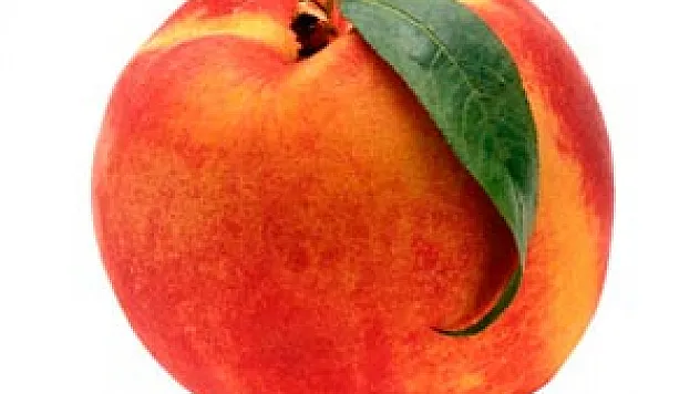  Şeftali Üreticilerine İlaçlama Uyarısı