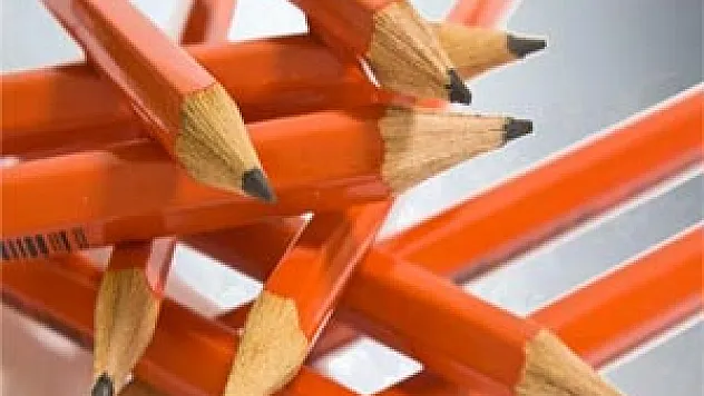 Danıştay'dan LYS kararı