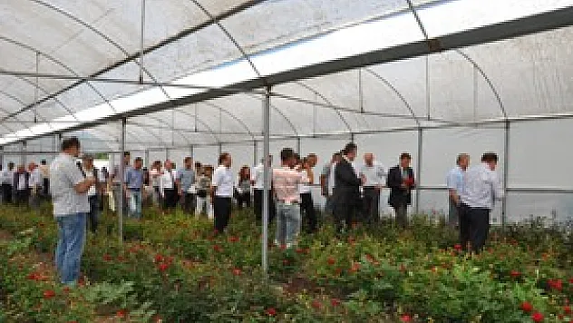 Kesme Çiçek Yetiştiriciliği Tarla Günü 