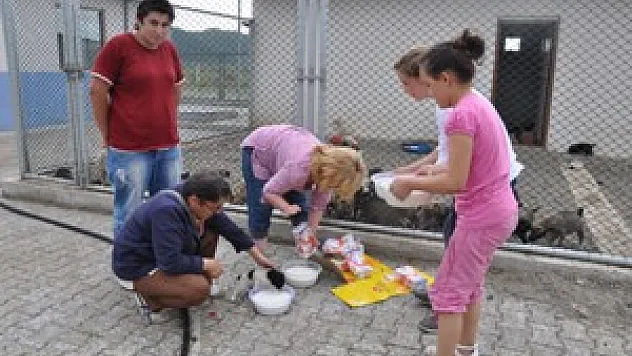 Hayvan Severler Barınağı Gezdi