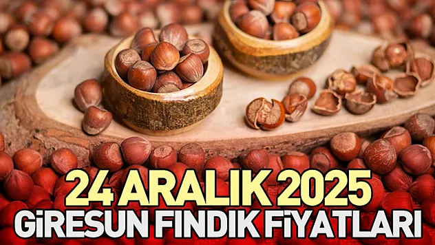 24 Aralık Giresun Fındık Fiyatları
