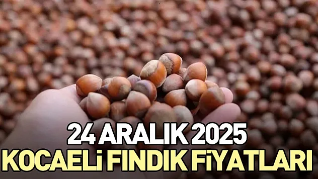24 Aralık Kocaeli Fındık Fiyatları