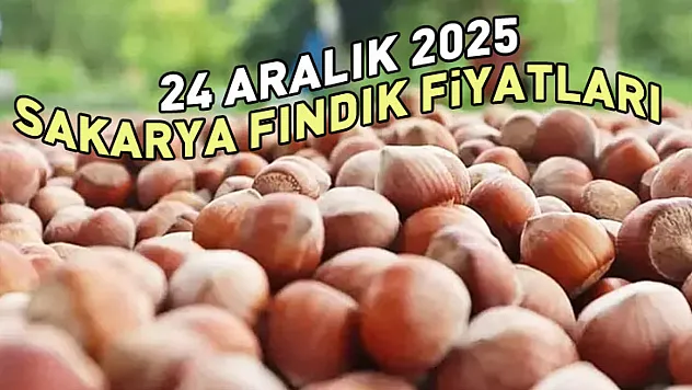 24 Aralık Sakarya Fındık Fiyatları | Marmara Talebi Fiyatları Ayakta Tutuyor