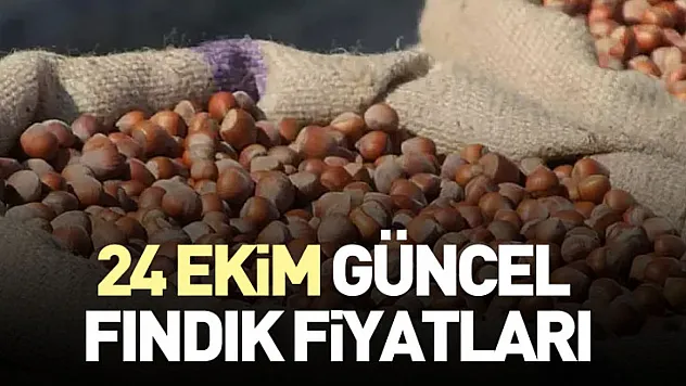 24 Ekim Güncel fındık fiyatları