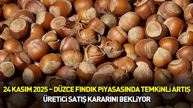 24 Kasım 2025 – Düzce Fındık Piyasasında Temkinli Artış: Üretici Satış Kararını Bekliyor