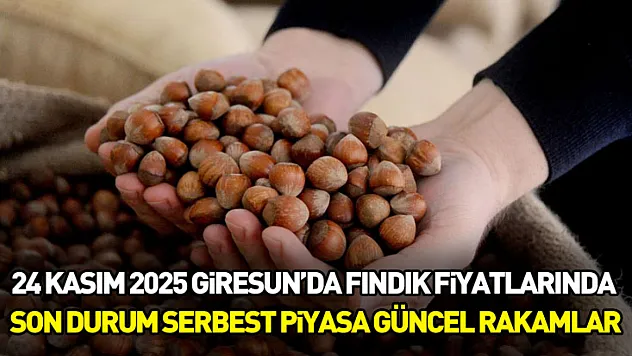 24 Kasım 2025 – Giresun'da Fındık Fiyatlarında Son Durum | Serbest Piyasa Güncel Rakamlar