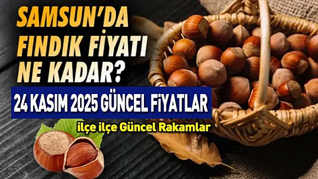 24 Kasım 2025 Samsun Fındık Fiyatları! İlçe İlçe Güncel Rakamlar