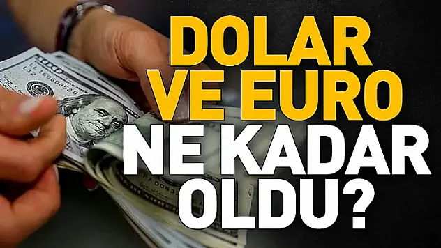24 Nisan 2026 Döviz kurları: Dolar ve Euro ne kadar oldu?