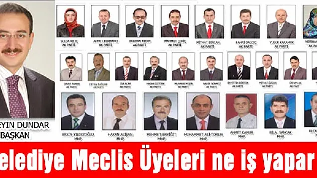 Belediye meclis üyeleri ne iş yapar?