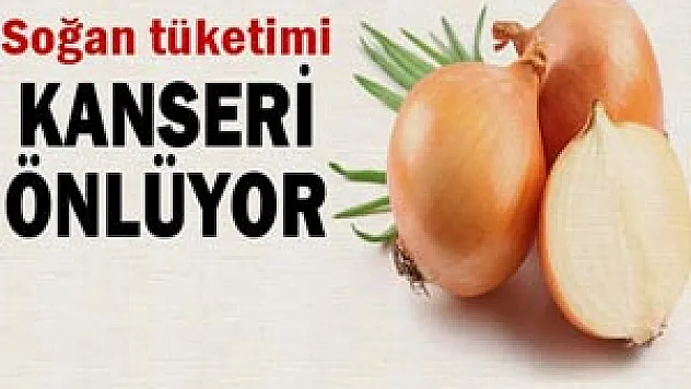 Soğan tüketimi kanseri önlüyor