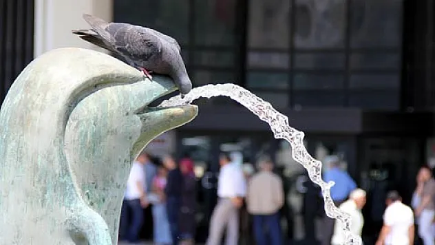  SICAK HAVA HAYVANLARI DA ETKİLİYOR