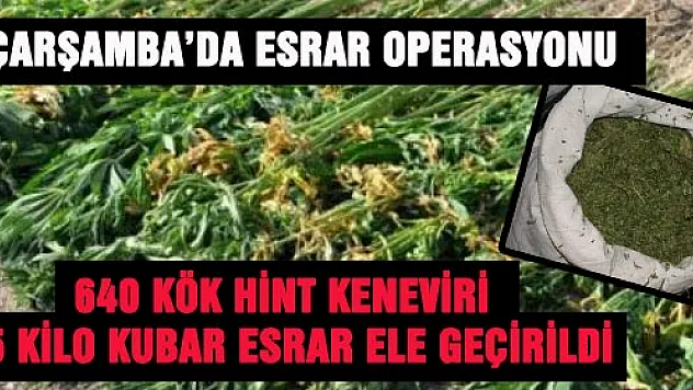 ÇARŞAMBA'DA ESRAR OPERASYONU