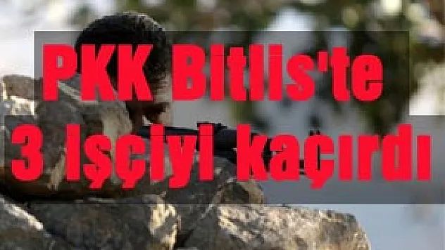 PKK Bitlis'te 3 kişiyi kaçırdı