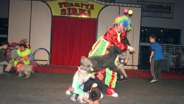 Uluslararası Türkiye Sirki Büyük İlgi Gördü