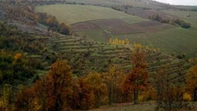 Samsun'un Yüzde 38'i Ormanlık Alan