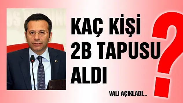 Samsun'da Bin 300 Kişi 2B Tapu Arazisi Aldı