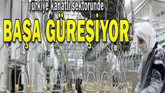 Türkiye tavuk üretiminde kaçıncı sırada?