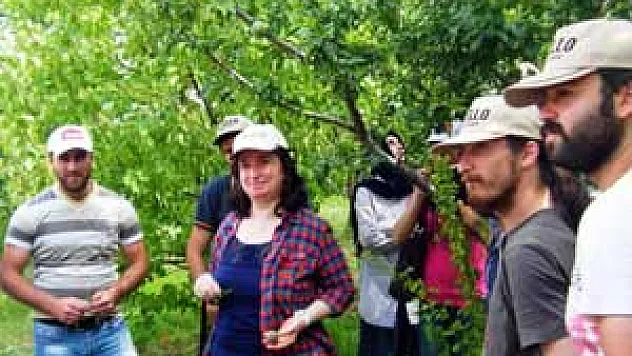 Öğrenciler Meyveleri Yerinde İnceledi