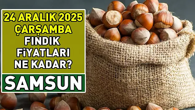 24 Aralık 2025 Samsun fındık fiyatları ne kadar?