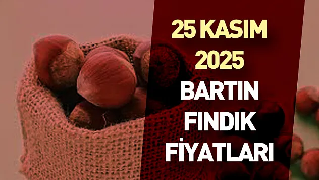 25 Kasım 2025 Bartın Fındık Fiyatları : Piyasa Yeniden Canlandı