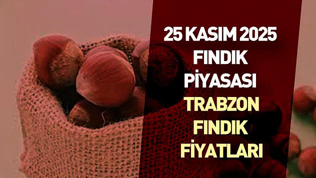 25 Kasım 2025 Fındık Piyasası Trabzon | Dengeli Seyir, Temkinli Bekleyiş
