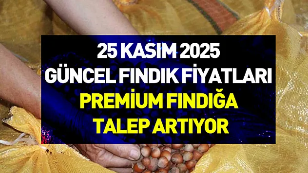 25 Kasım 2025 Güncel Fındık Fiyatları | Premium Fındığa Talep Artıyor