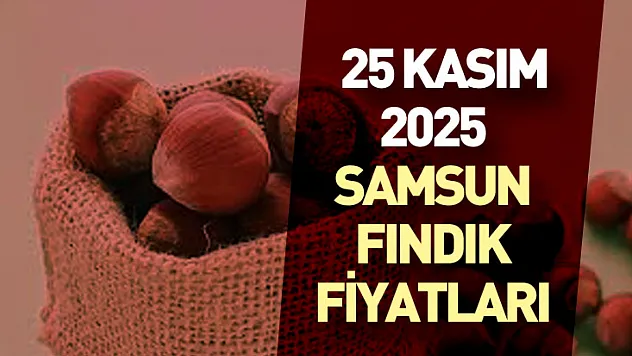 25 Kasım 2025 Samsun Fındık Fiyatları | İlçe İlçe Güncel Durum ve Piyasa Analizi
