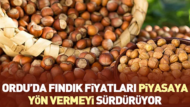25 Ocak Ordu'da Fındık Fiyatları: Ordu'da Fındık Fiyatları Piyasaya Yön Vermeyi Sürdürüyor