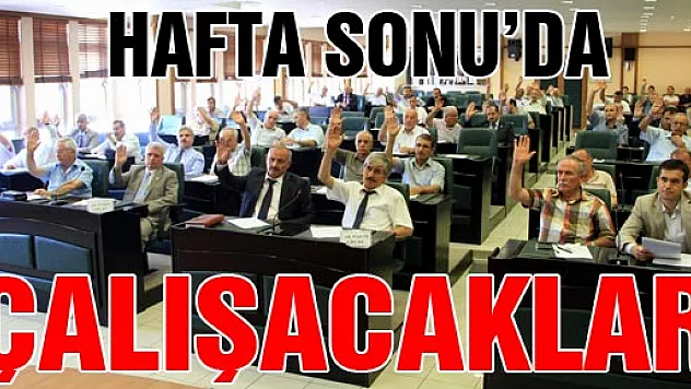 İl Genel Meclisi Hafta Sonu Çalışacak