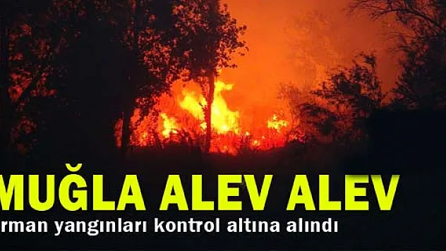 Veysel Erdoğlu, 'Orman yangınları kontrol altına alındı'