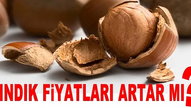 Fındık fiyatları artar mı?