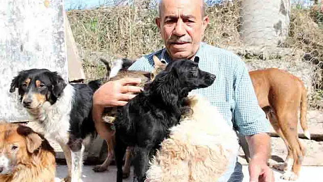 EVİNDE 100 HAYVANA BAKAN EMEKLİ, YARDIM BEKLİYOR 