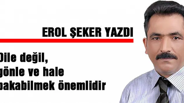 EROL ŞEKER'in bugünkü yazısı