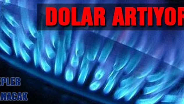 Dolardaki artış doğalgazı vurdu cepler yanacak