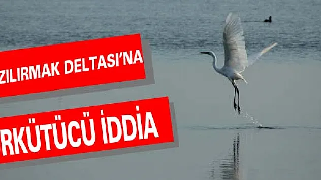 'KIZILIRMAK DELTASI AV TURİZMİNE AÇILIYOR' İDDİASI