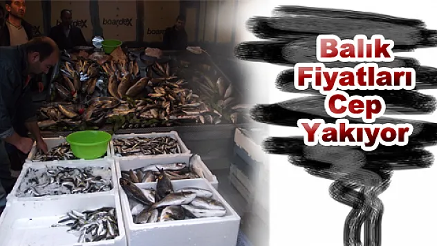 Balık fiyatları cep yakıyor!