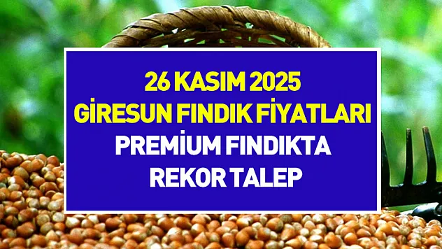 26 Kasım 2025 Giresun Fındık Fiyatları | Premium Fındıkta Rekor Talep
